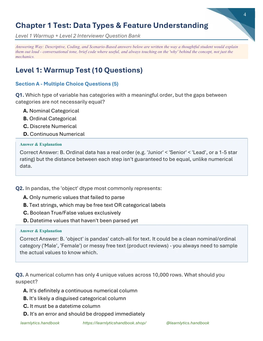 Data Types & Feature Understanding — Chapter 1 Solution Manual preview